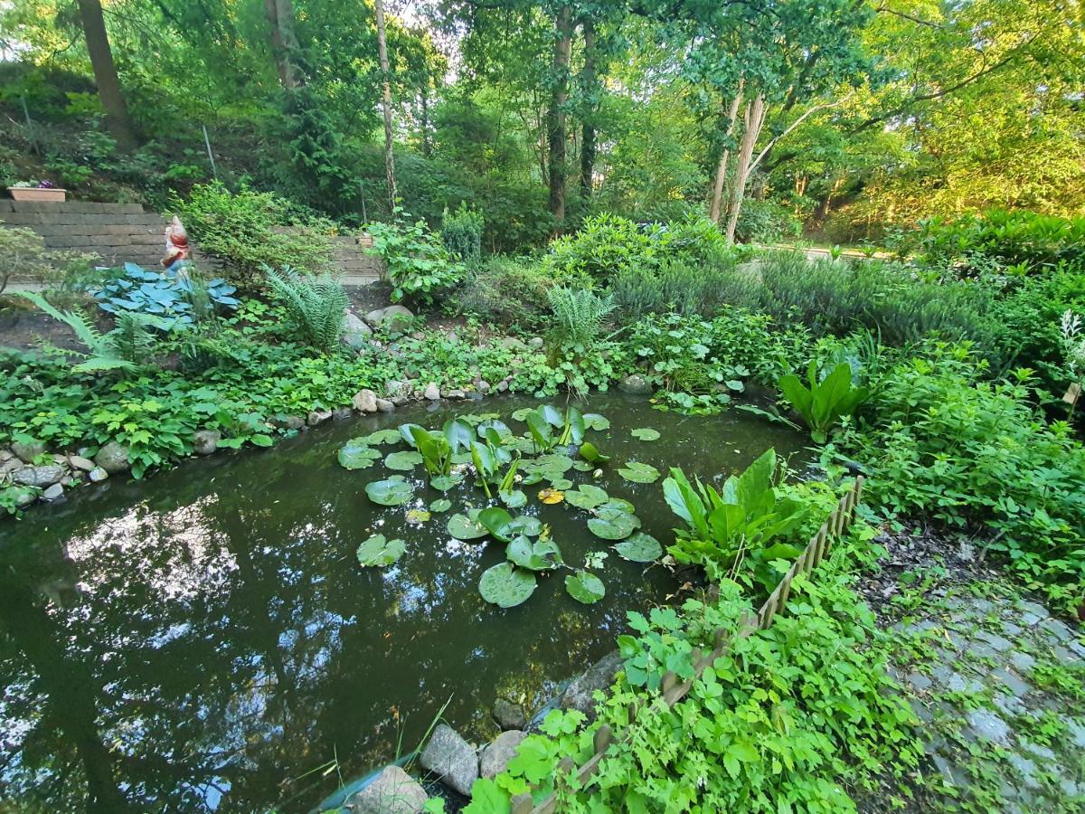 Apartment Bei Hamburg Bis 10 Personen Mit Terasse Und Gartennutzung. Buchholz in der Nordheide Kültér fotó