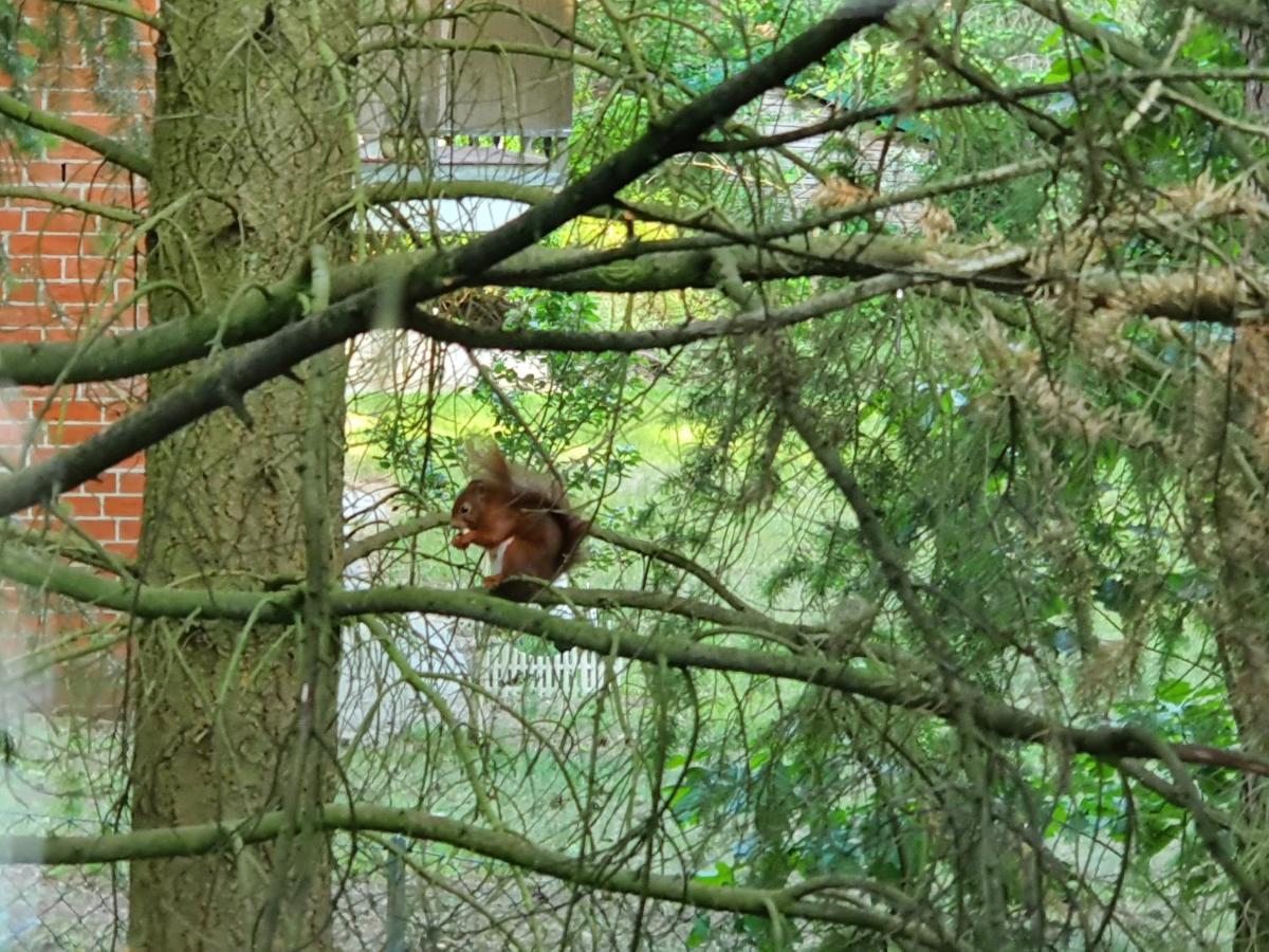 Apartment Bei Hamburg Bis 10 Personen Mit Terasse Und Gartennutzung. Buchholz in der Nordheide Kültér fotó